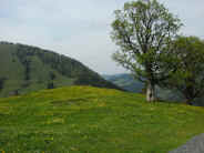 Landschaft Vorberge
